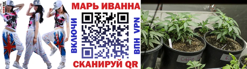 Конопля планчик Красноармейск